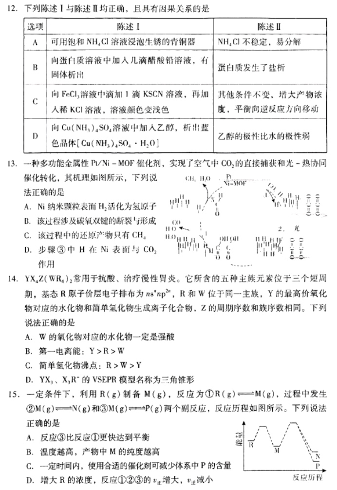 广东粤光联考2024高三第二次调研考试化学试题及答案解析