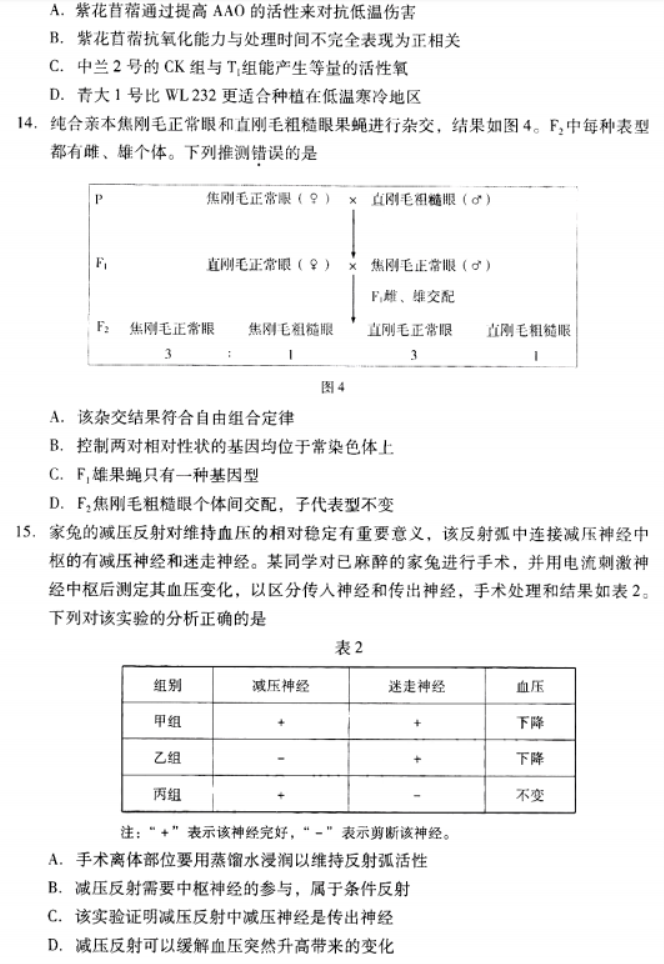 广东粤光联考2024高三第二次调研考试生物试题及答案解析