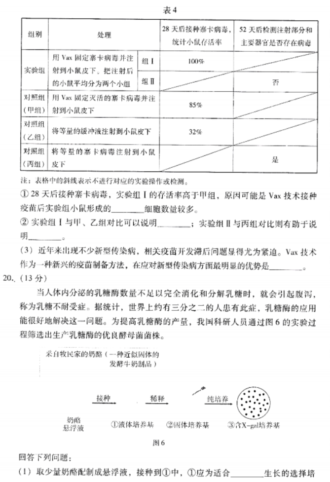 广东粤光联考2024高三第二次调研考试生物试题及答案解析