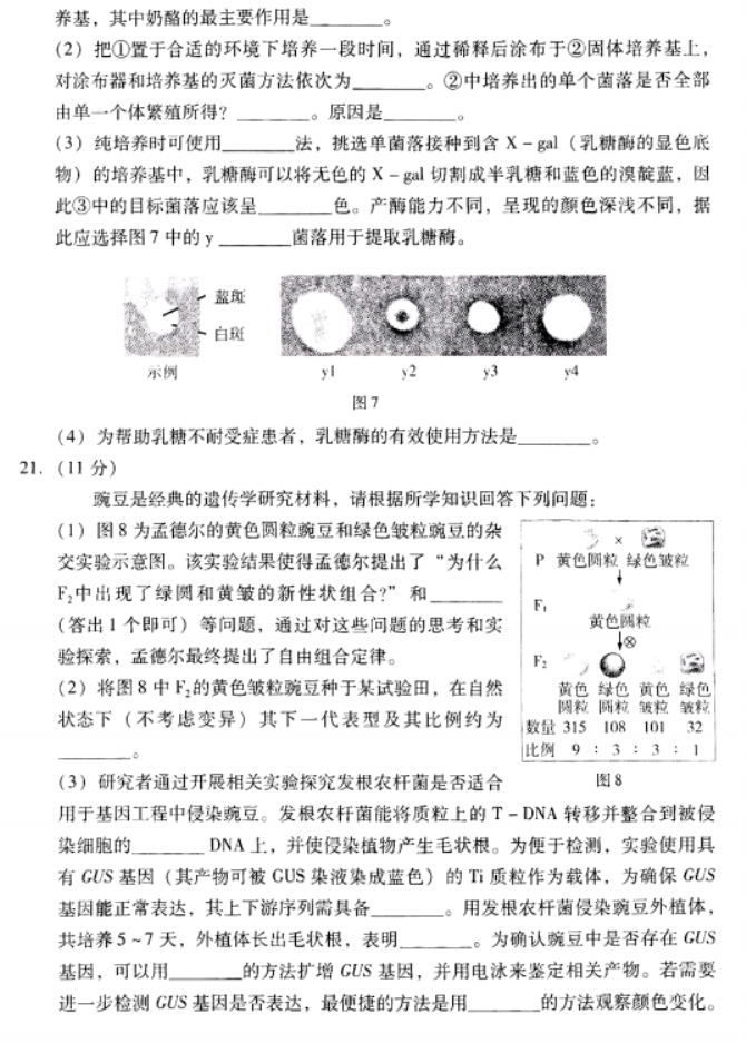 广东粤光联考2024高三第二次调研考试生物试题及答案解析