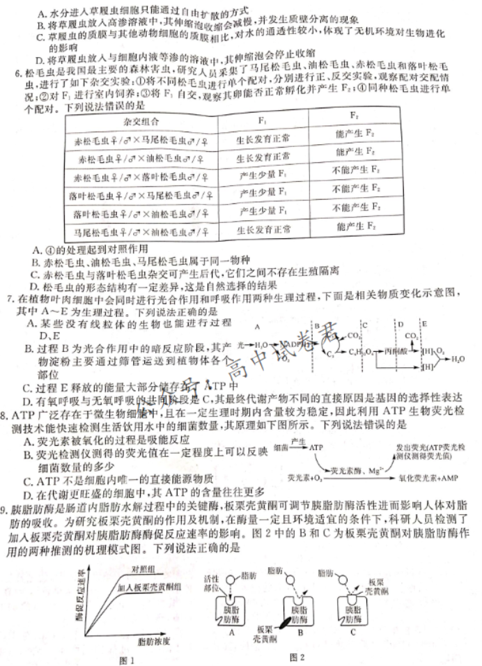 湖南省天壹名校联盟2024高三11月联考生物试题及答案解析