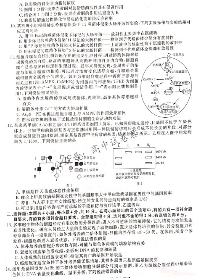 湖南省天壹名校联盟2024高三11月联考生物试题及答案解析