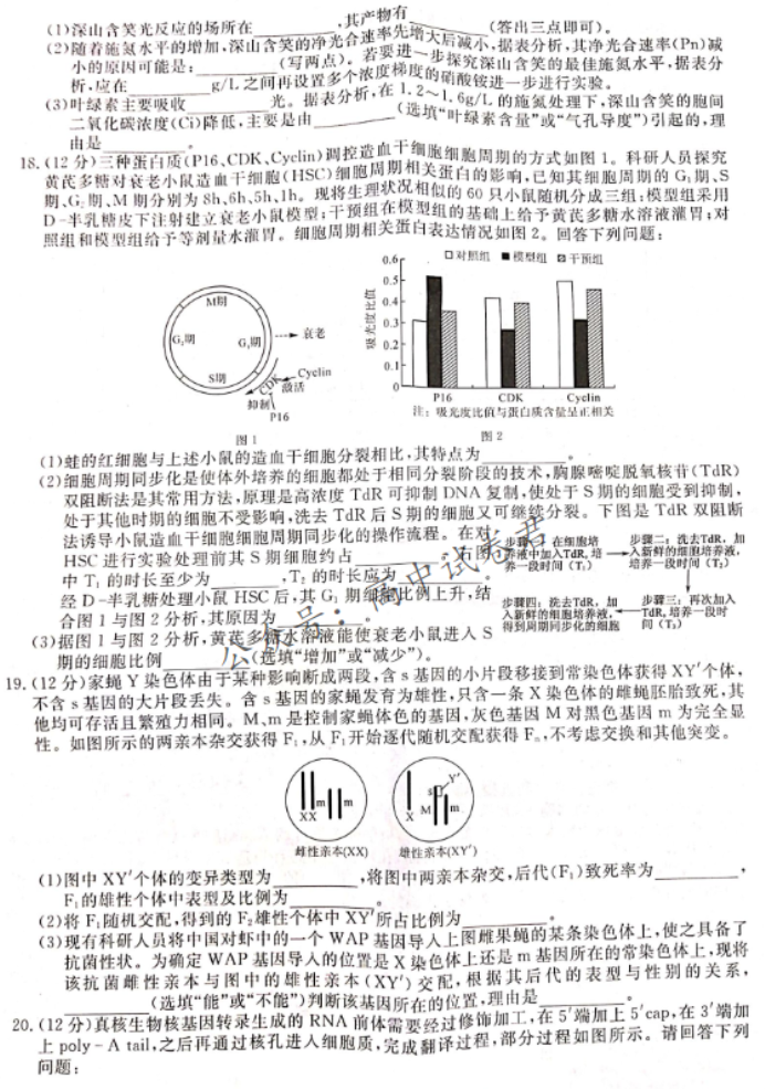 湖南省天壹名校联盟2024高三11月联考生物试题及答案解析