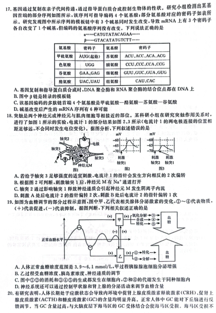 辽宁省名校联盟2024高三12月联合考试生物试题及答案解析