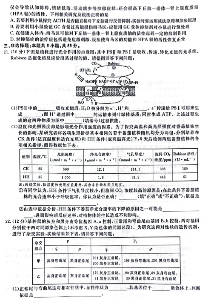 辽宁省名校联盟2024高三12月联合考试生物试题及答案解析