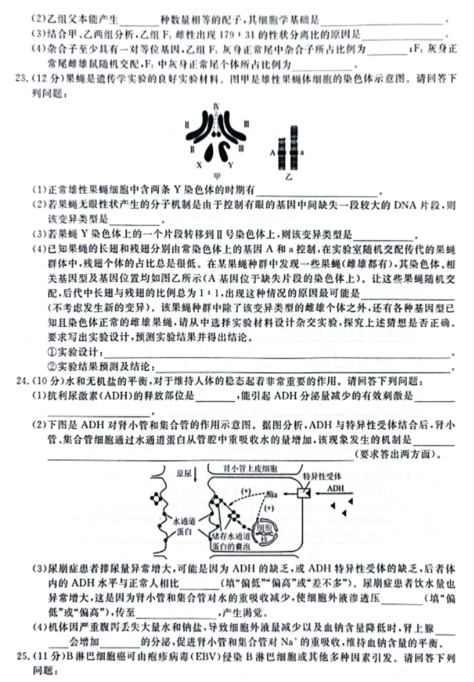 辽宁省名校联盟2024高三12月联合考试生物试题及答案解析