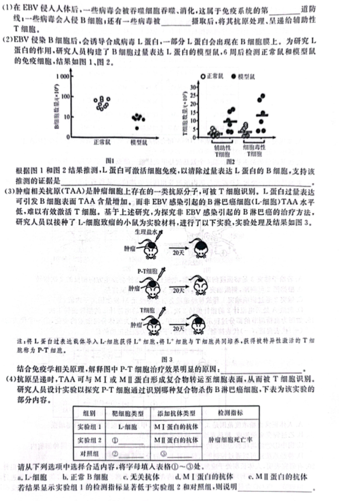 辽宁省名校联盟2024高三12月联合考试生物试题及答案解析