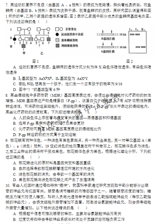 大连滨城高中联盟2024高三期中Ⅱ考试生物试题及答案解析