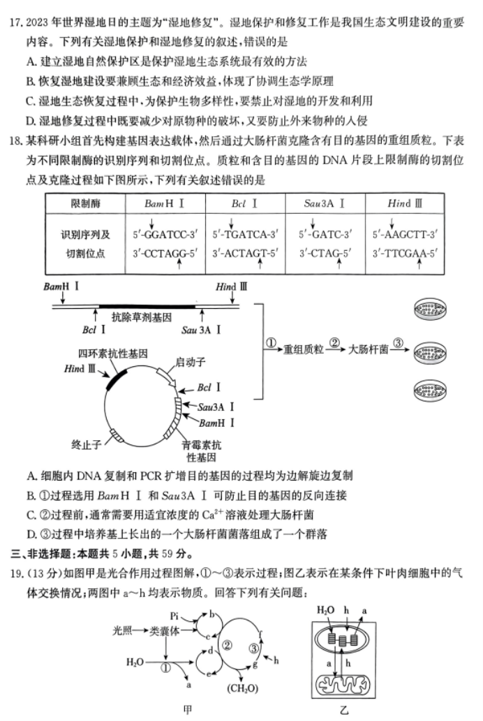 河北2024高三12月学业选择性考试模拟生物试题及答案解析