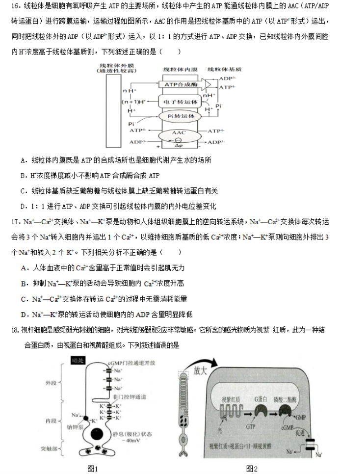 江苏常州市联盟学校2024高三12月学情调研生物试题及答案