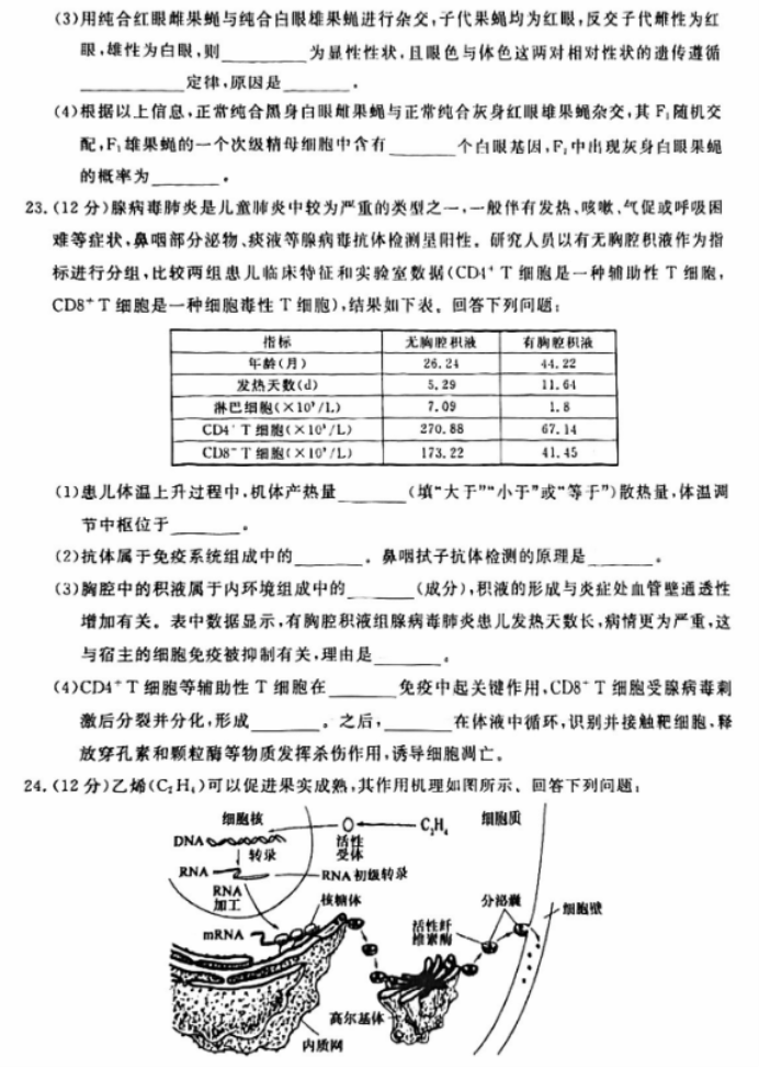 河南省新未来2024高三12月联考生物试题及答案解析