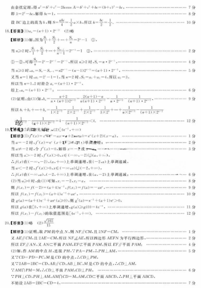 河南省新未来2024高三12月联考数学试题及答案解析