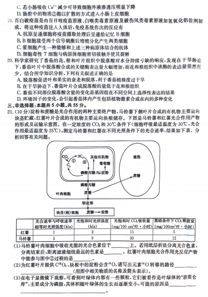 齐齐哈尔普高联谊校2024高三期末考试生物试题及答案解析