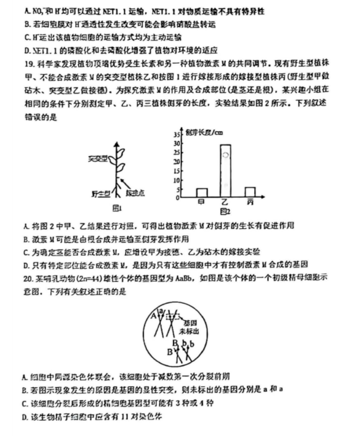 辽宁省五校联考2024高三期末考试生物试题及答案解析