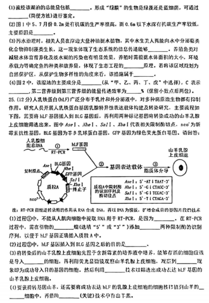 辽宁省五校联考2024高三期末考试生物试题及答案解析