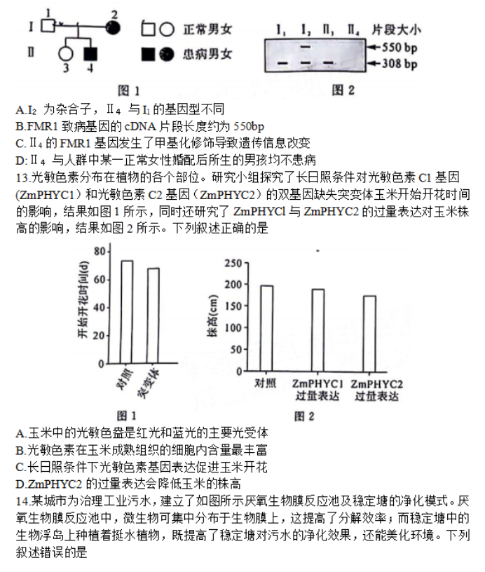 福建百校联考2024高三正月开学考生物试题及答案解析