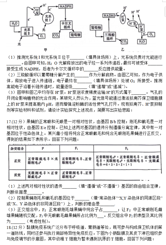 福建百校联考2024高三正月开学考生物试题及答案解析