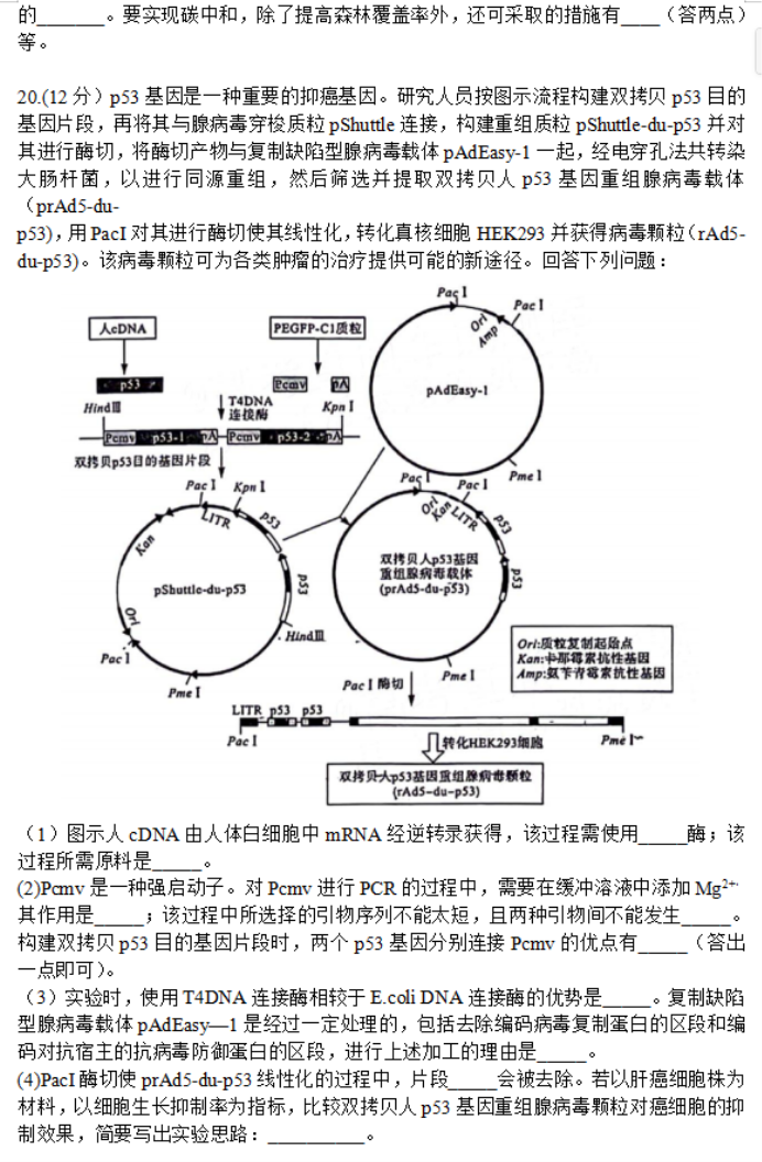 福建百校联考2024高三正月开学考生物试题及答案解析