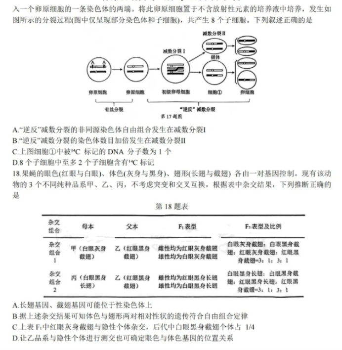 浙江省宁波2024高三4月二模(舟山)生物试题及答案解析