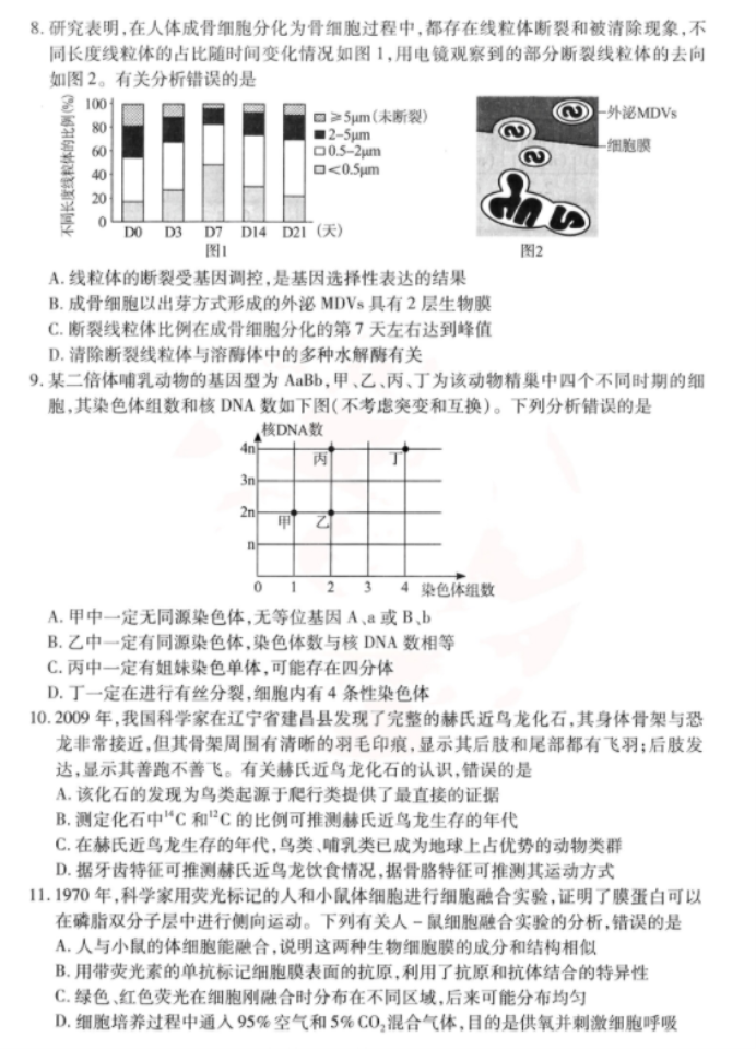 湖北省2024高三4月调研考生物试题及答案解析