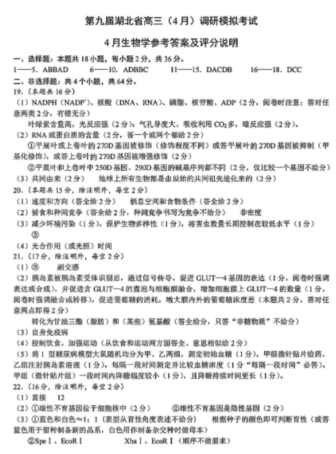 湖北省2024高三4月调研考生物试题及答案解析