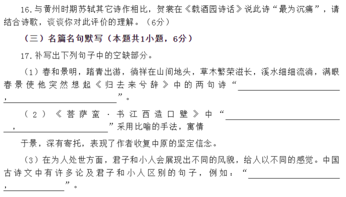 湖北省宜荆荆随恩2024高考5月二模语文试题及答案解析