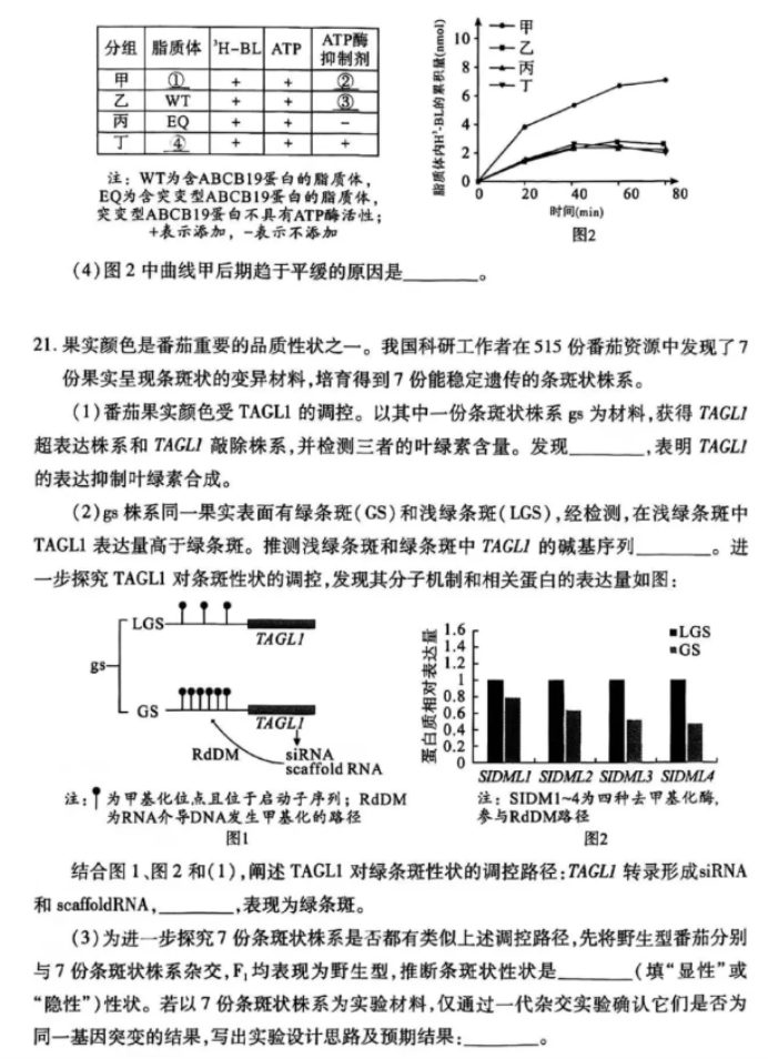 武汉五调2024高三五月模拟押题训练生物试题及答案解析