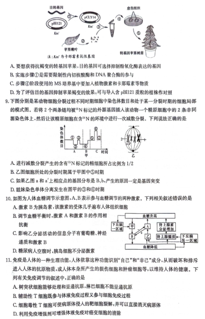 湖南炎德名校联合体2024高三考前押题生物试题及答案解析