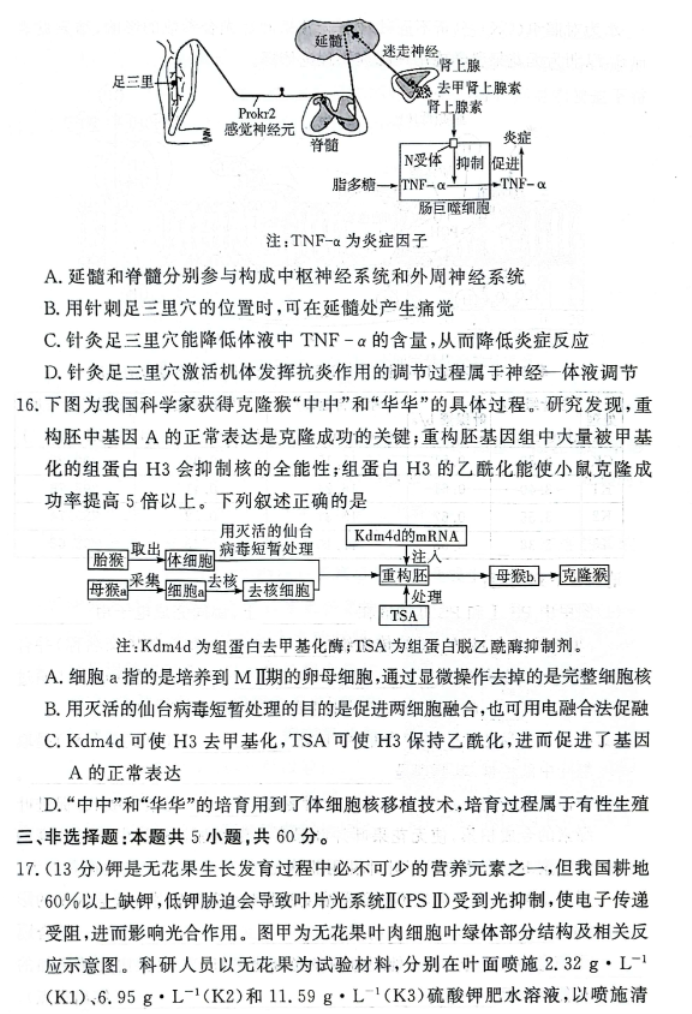 湘豫名校2025高三9月新高考适应性调研考生物试题及答案