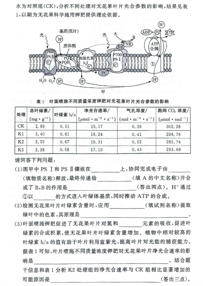 湘豫名校2025高三9月新高考适应性调研考生物试题及答案