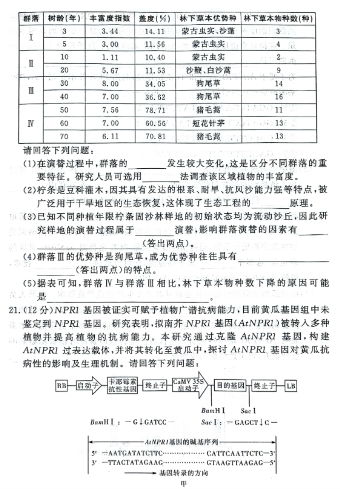 湘豫名校2025高三9月新高考适应性调研考生物试题及答案