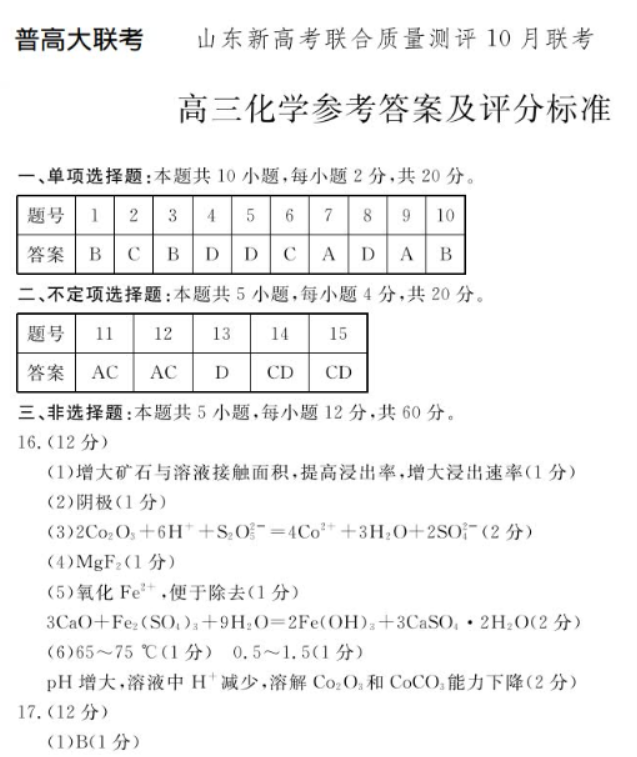 山东新高考联合质量测评2025高三10月联考化学试题及答案