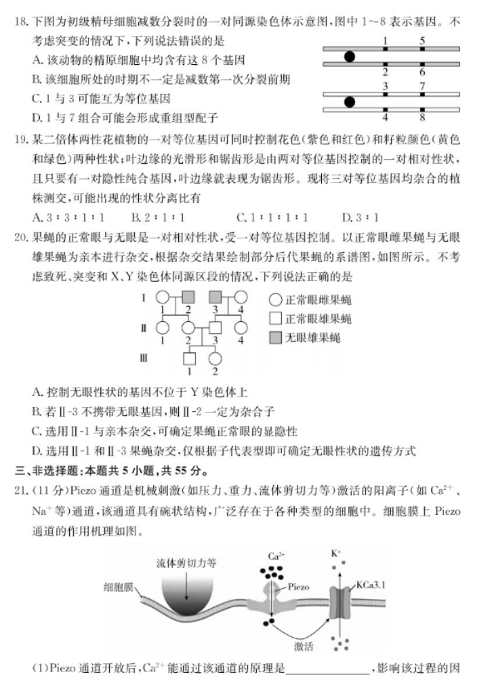 山东新高考联合质量测评2025高三10月联考生物试题及答案