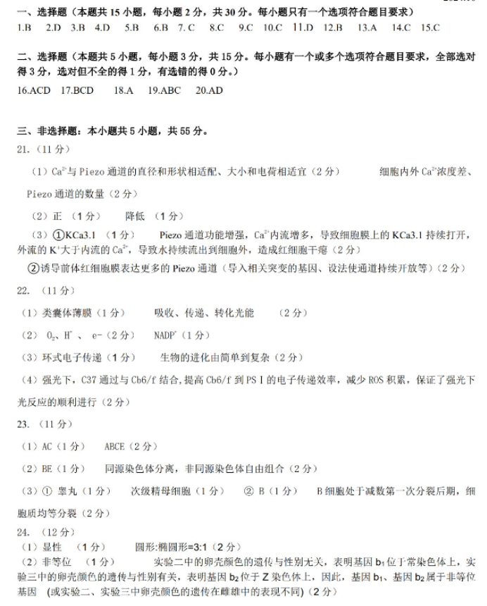 山东新高考联合质量测评2025高三10月联考生物试题及答案