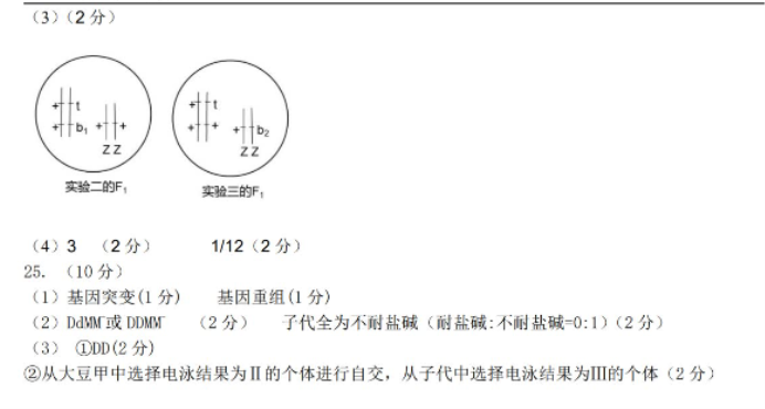 山东新高考联合质量测评2025高三10月联考生物试题及答案