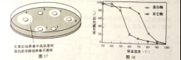 2017上海高考生物试题及答案_2017上海高考答案生物完整版