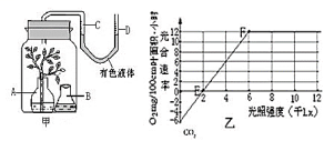 学科网(www.zxxk.com)--教育资源门户，提供试卷、教案、课件、论文、素材及各类教学资源下载，还有大量而丰富的教学相关资讯！