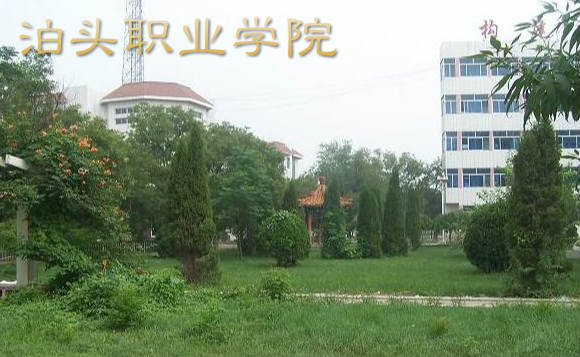2015年泊头职业学院单独招生报名时间及入口