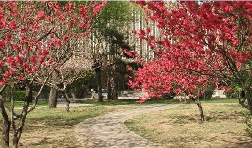 华北科技学院宿舍怎么样 住宿条件好不好_高三