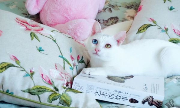 2017年湖南省娄底市中考考试时间及科目_高三