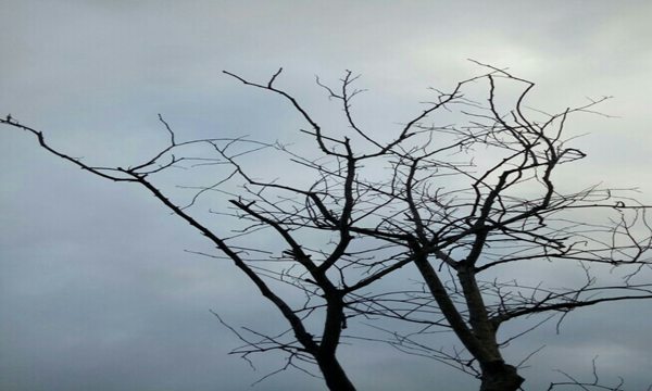 2017年台州市高中排名 台州市高中排行榜_高