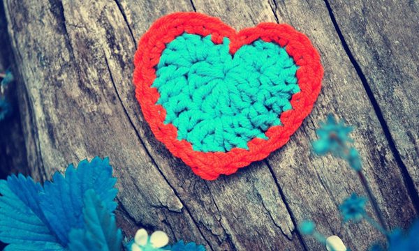 2017高考受关注的本科专业_高三网