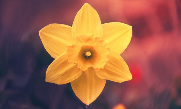 2017年伊春市中考历史试题及答案解析_高三网