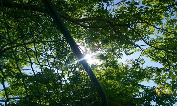 2017年吉林市中考作文题目预测:没想到,真没想