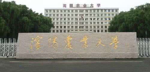 沈阳农业大学有几个校区及校区地址