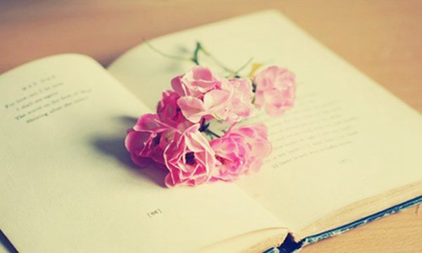 2017北京树人学校中考录取分数线:621分_高三