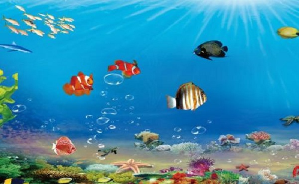 全国开设海洋生物资源与环境专业有哪些院校 