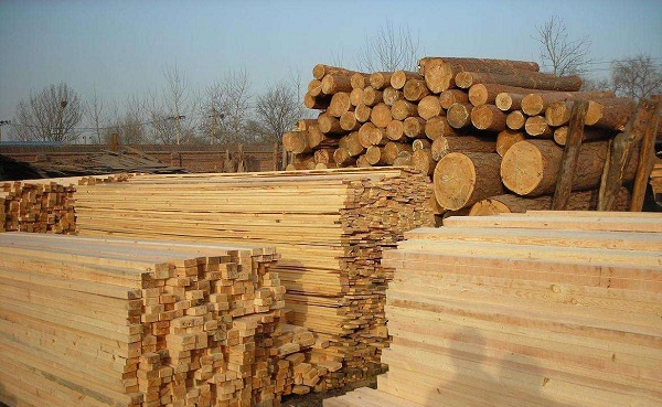 开设木材加工技术专业有哪些专科院校