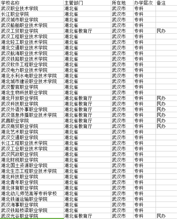 武汉专科学校名单