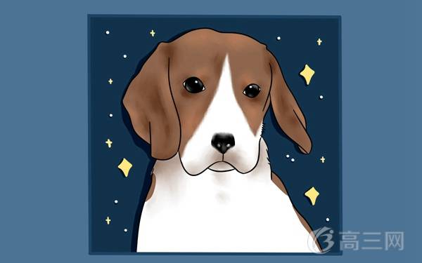 食品质量与安全专业就业方向与就业前景